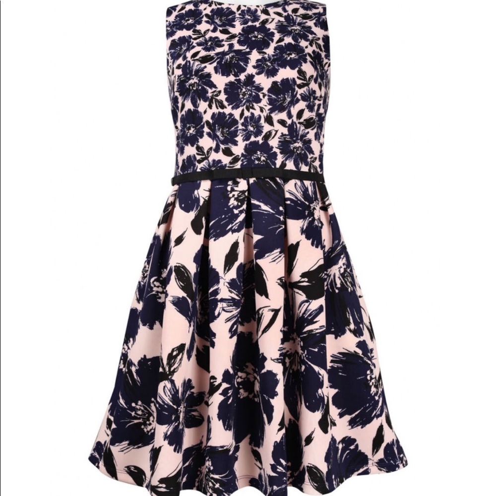 Taylor Dresses Pink & Navy Dress